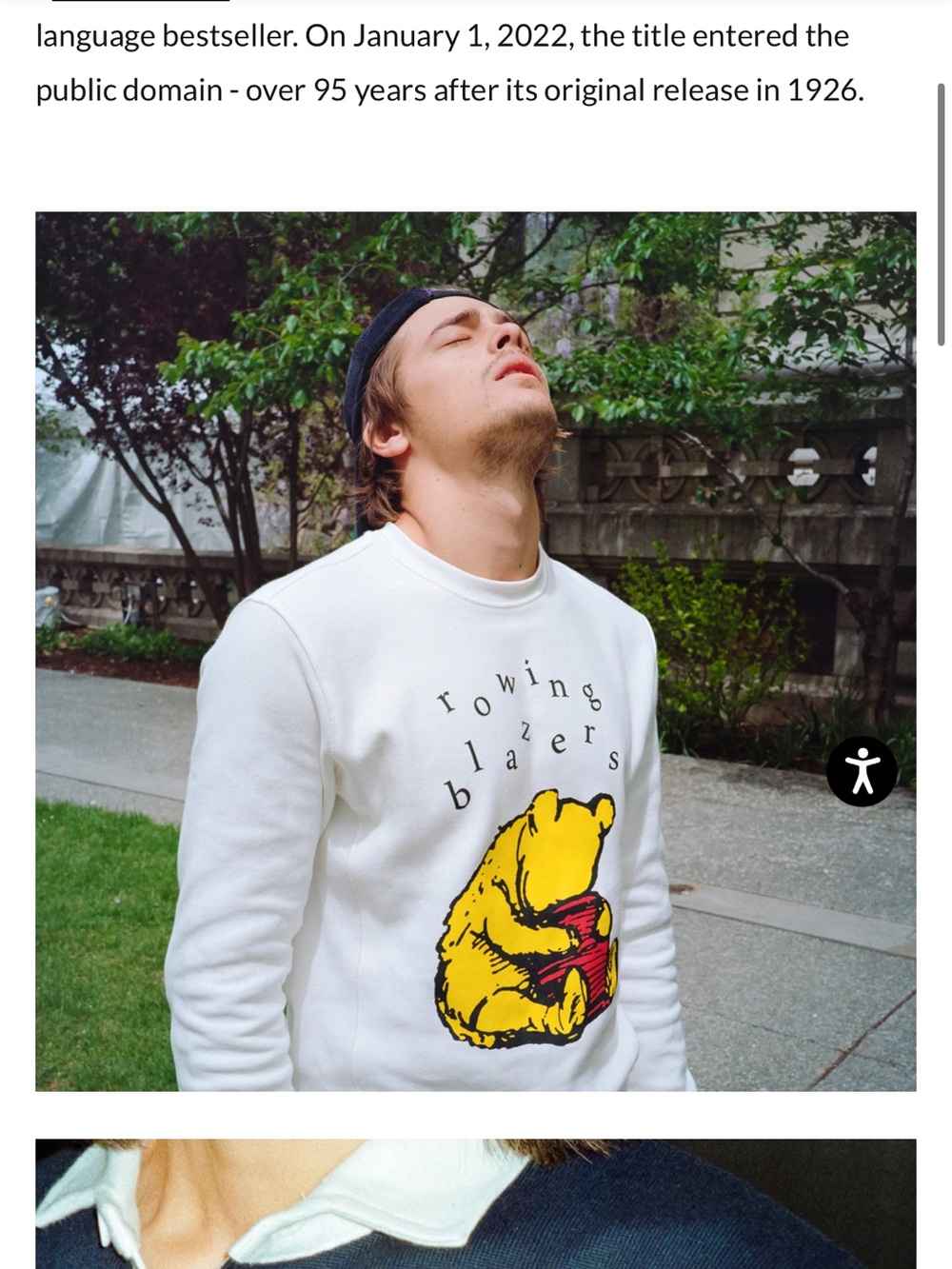 Rowing Blazers Winnie the Pooh Collab.